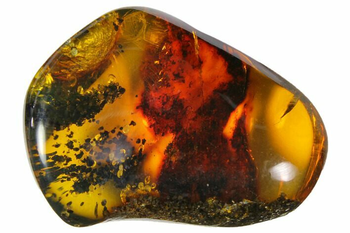 Polished Chiapas Amber ( g) - Mexico #114779